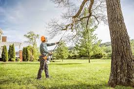Best Organic Lawn Care Solutions  in Rainbow Lakes, NJ