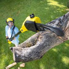Best Sod Installation  in Rainbow Lakes, NJ