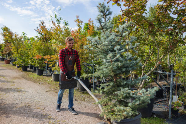 How Our Tree Care Process Works  in  Rainbow Lakes, NJ